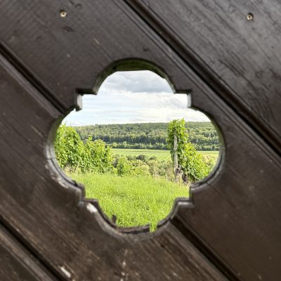 Bild Fenster